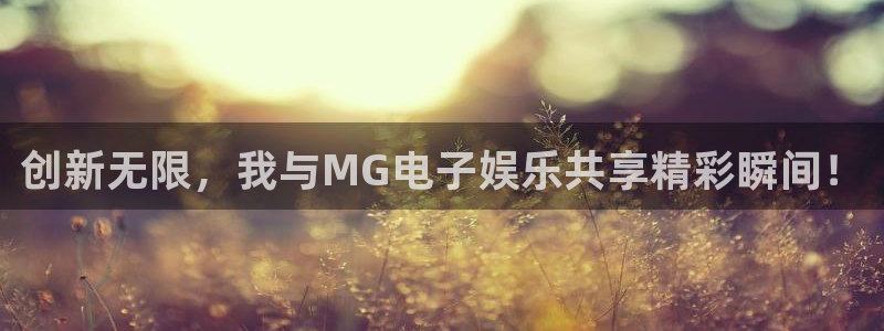 永信贵宾会官网217：创新无限，我与MG电子娱乐共享精彩瞬间！