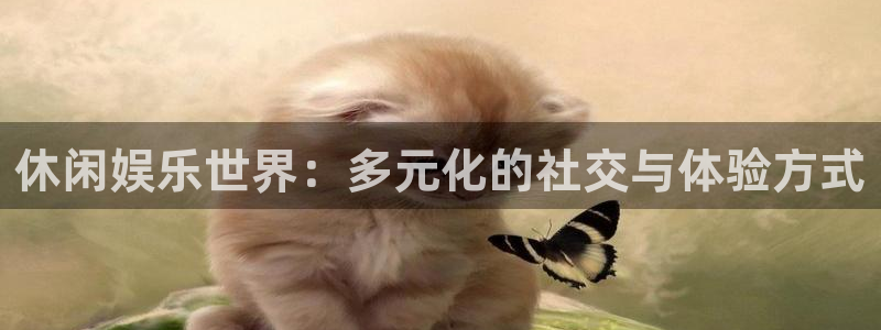 永信贵宾会备用网址：休闲娱乐世界：多元化的社交与体验方式