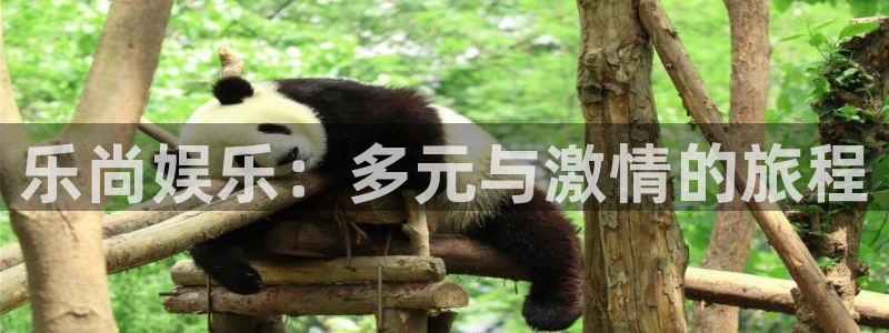 永信贵宾会官网：乐尚娱乐：多元与激情的旅程