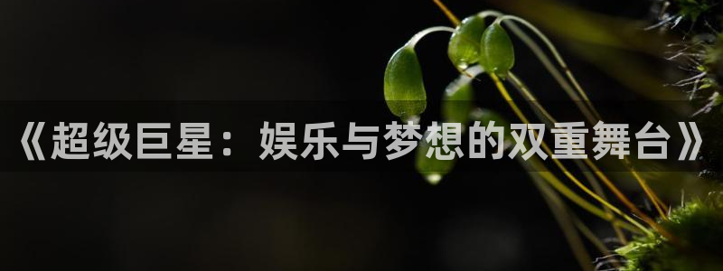 永信贵宾会优惠大厅：《超级巨星：娱乐与梦想的双重舞台》