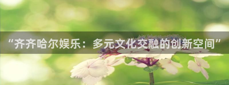 永信贵宾会官网217：“齐齐哈尔娱乐：多元文化交融的创新空间”