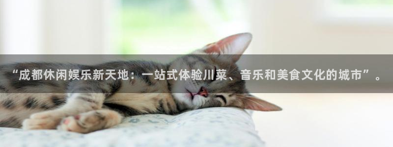 永信贵宾会：“成都休闲娱乐新天地：一站式体验川菜、音乐和美食文化的城市”。