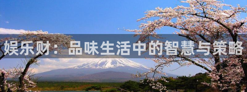 永信贵宾会优惠大厅：娱乐财：品味生活中的智慧与策略