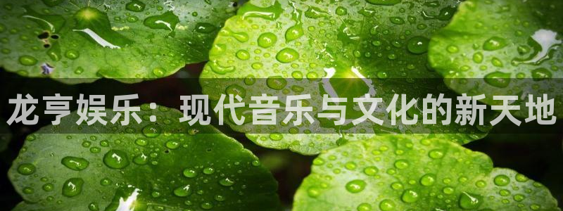 永信贵宾会官网：龙亨娱乐：现代音乐与文化的新天地