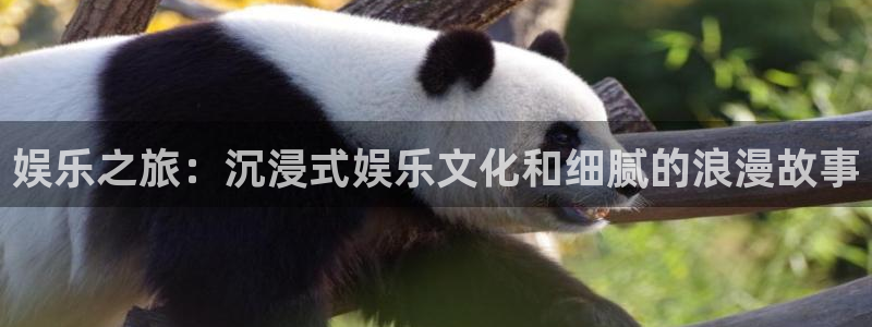 永信贵宾会官网217：娱乐之旅：沉浸式娱乐文化和细腻的浪漫故事