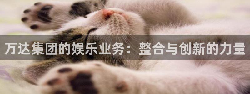 永信贵宾会官网：万达集团的娱乐业务：整合与创新的力量
