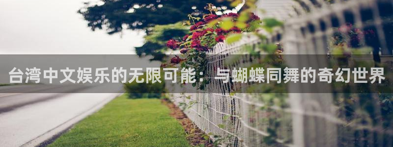 永信贵宾会大厅：台湾中文娱乐的无限可能：与蝴蝶同舞的奇幻世界