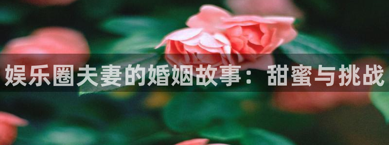 永信贵宾会官网：娱乐圈夫妻的婚姻故事：甜蜜与挑战