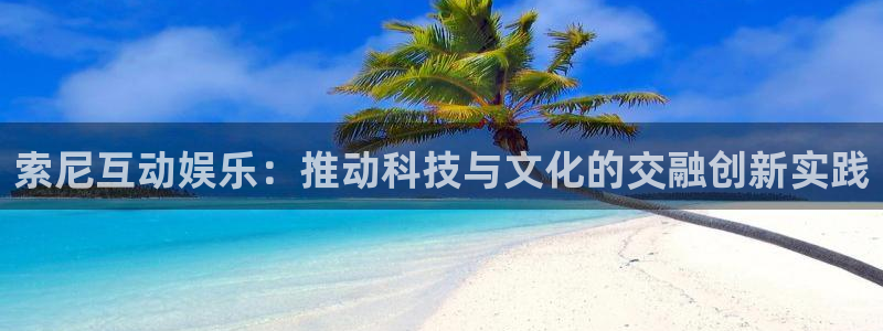 永信贵宾会大厅：索尼互动娱乐：推动科技与文化的交融创新实践
