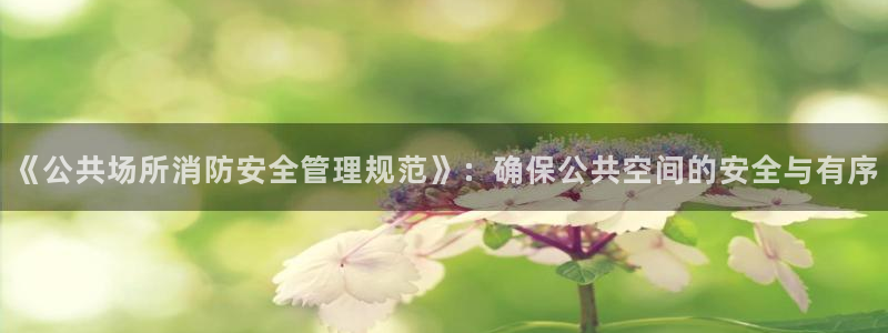 永信贵宾会大厅：《公共场所消防安全管理规范》：确保公共空间的安全与有序